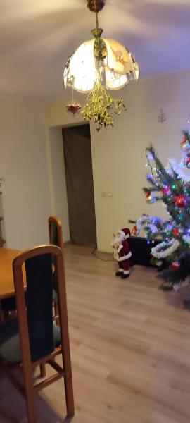 Apartament Multik